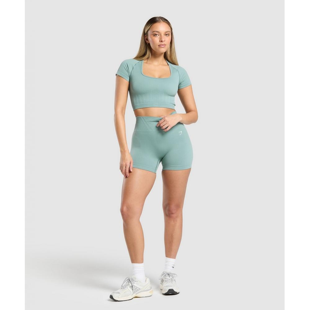 Gymshark Корсет бесшовный укороченный топ Celeste Blue B3c4w Udbp