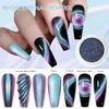 5D Magic Mirror Effect Cat Eye Powder Magnetic Nail Glitter Pigment Manicure Holographic Chrome Dust Can Use With Polish Gel