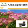 Garden in the Bag - Acacia Pinc - 50 семян - С субстратом в подходящем пакете-стойке - Albizia julibrissin