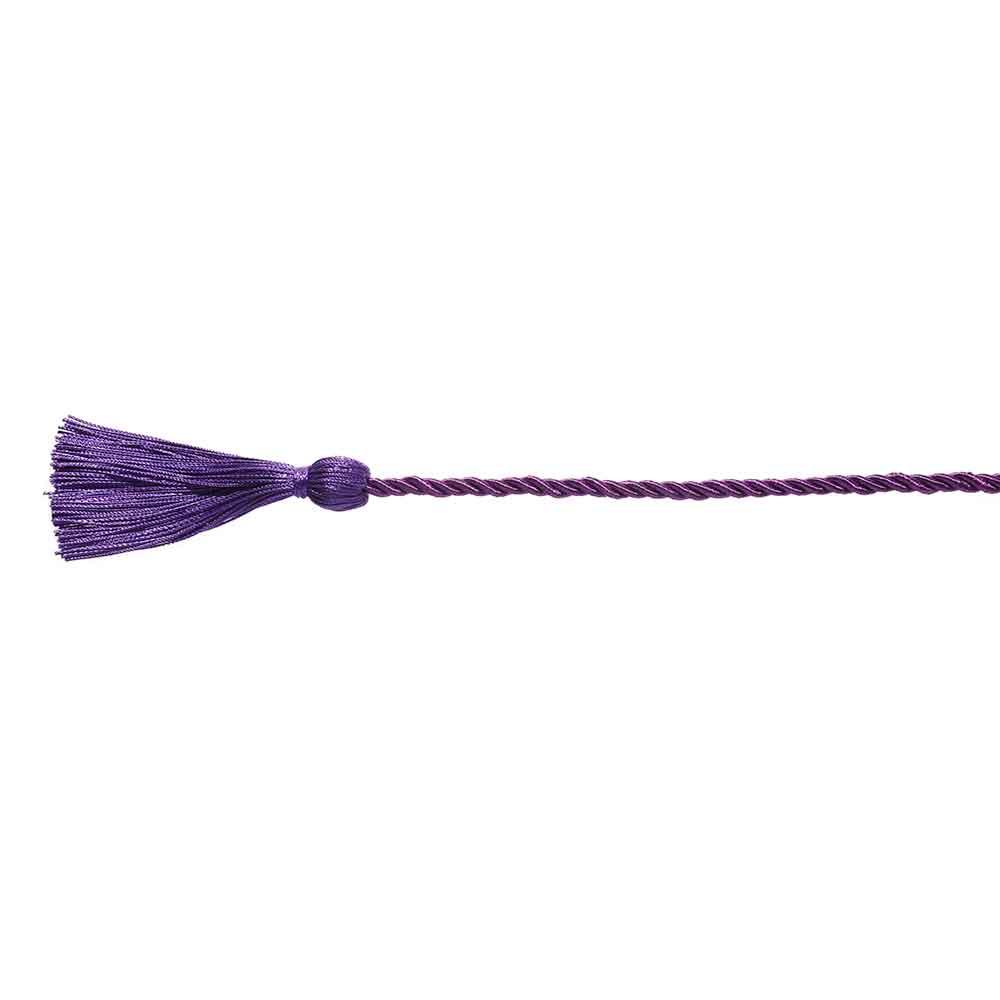 Craft Braided Party Supplies Yarn Honor Cord Graduation Honor Cords Bachelor Gown Tassels Cord