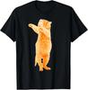 Dabbing Cat Kitten Funny Dab Dance Kitty Funny Gift T-Shirt