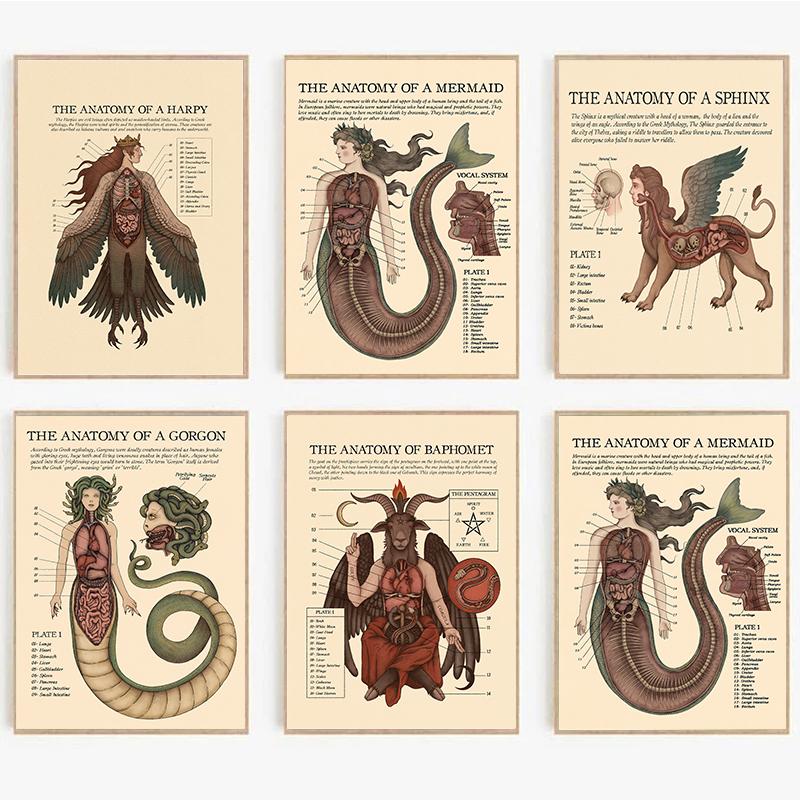 Винтажный плакат «Анатомия русалки, гарпии, горгоны» Принт Загадочное существо Холст Живопись Настенное искусство Комната Домашний декор Куадрос
