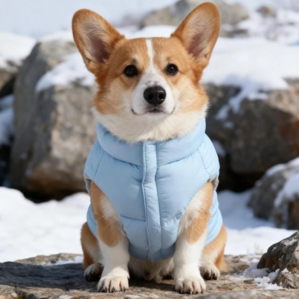 Fashion Warm Dog Down Jacket Thickened Adjustable Windproof Dog Jacket with Ear Hole Comfortable Dog Hood Coat Winter Season