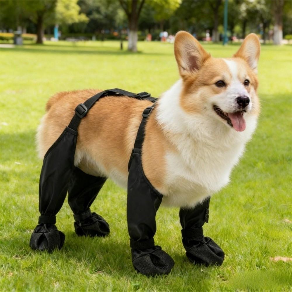 Non-Slip Pet Shoe Covers Adjustable Outdoor Dog Shoes Dog Booties Dog Rain Shoes Outdoor Walking
