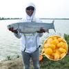 Рыболовный Король Ферментированная Нежная Кукуруза Приманка для Рыбы