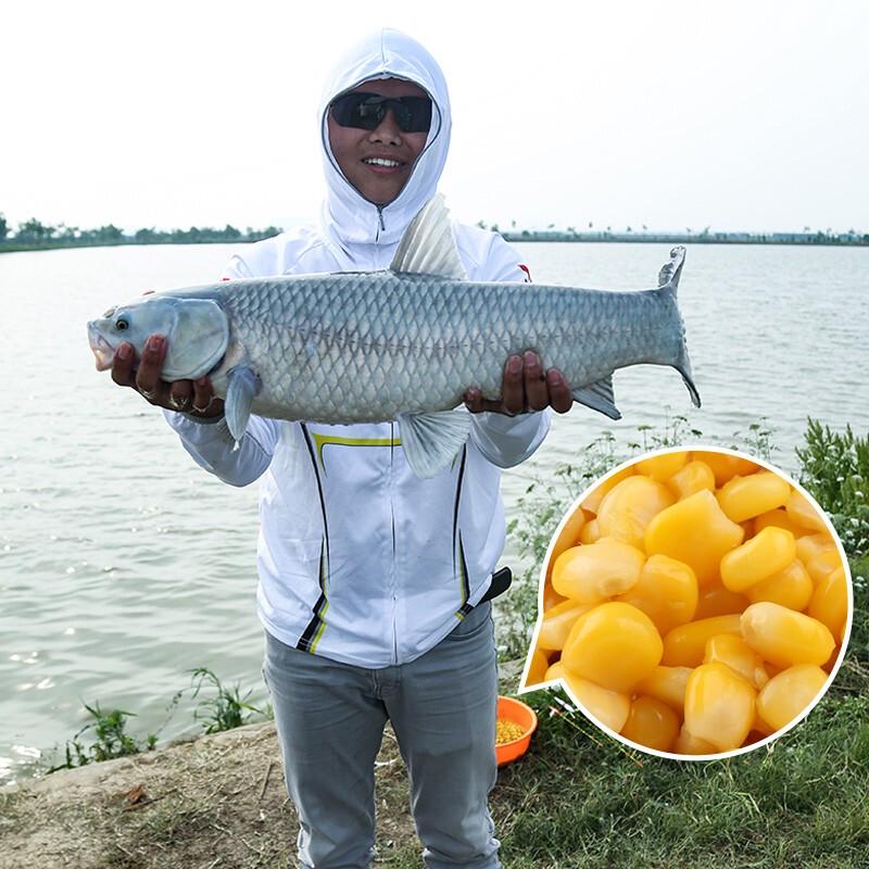 Рыболовный Король Ферментированная Нежная Кукуруза Приманка для Рыбы