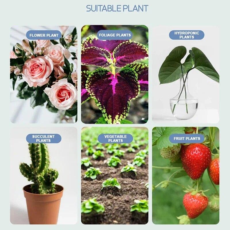 10 шт., сильные липкие ловушки для насекомых, уличные ловушки для насекомых, двусторонняя липкая доска, ловушка для борьбы с вредителями для сада