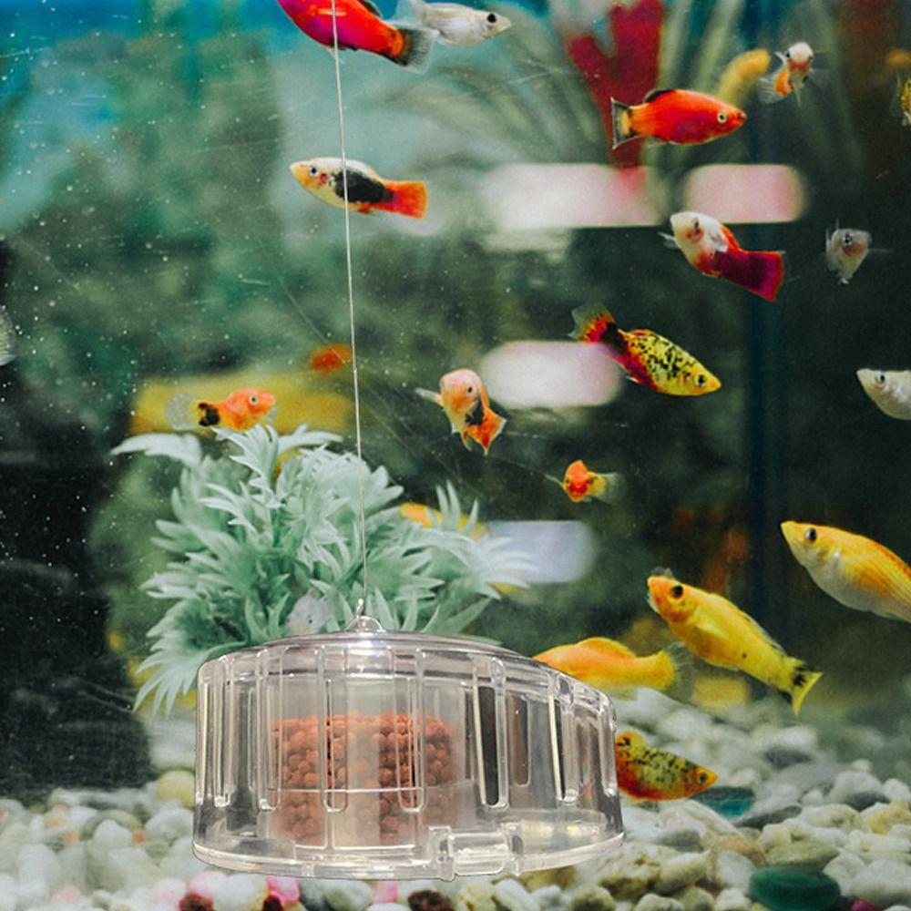 Plastic Fish Tank Cleaning Tool Snail Trap Catcher Snail Removal Device Planaria Pest Catch Box