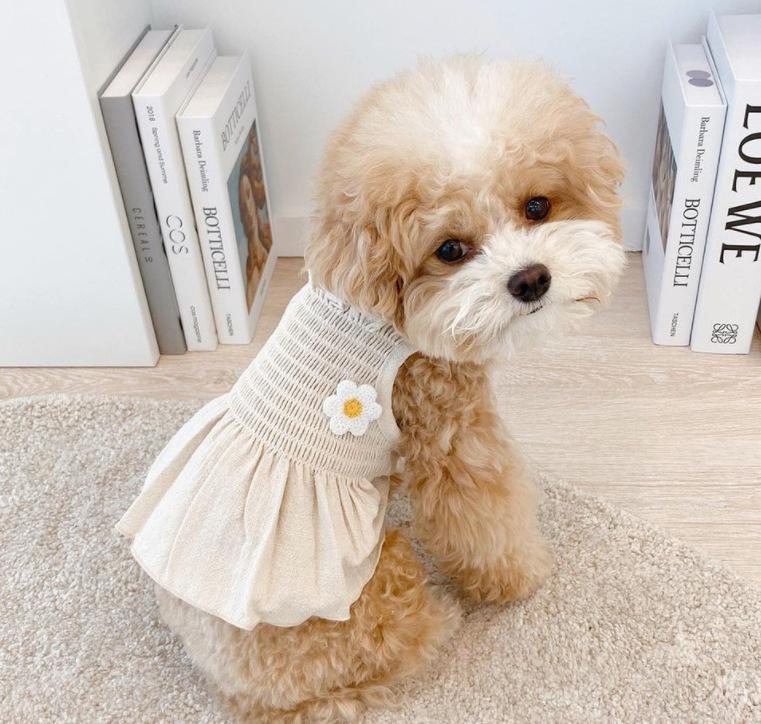 Летний жилет Four Seasons Striped Bear Vest Teddy Bigbear Universal Dog Clothing для маленьких и средних собак Pet Cat Clothing