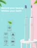 Baolijie SN302 Intelligent Electric Toothbrush Acoustic Wave Type with Dupont Soft Hair for Adults