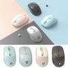 Professional Wireless Mouse Rechargeable Compact Receiver