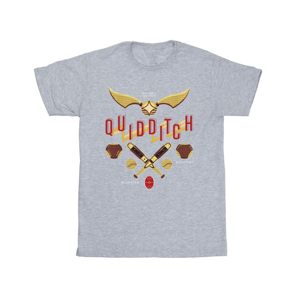 Harry Potter Mens Quidditch Golden Snitch T-Shirt