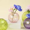 Multipurpose Clear Glass Ball Vases Small Hydroponic Pot Planter for Unique Terrariums Jar and Propagation Stations Display