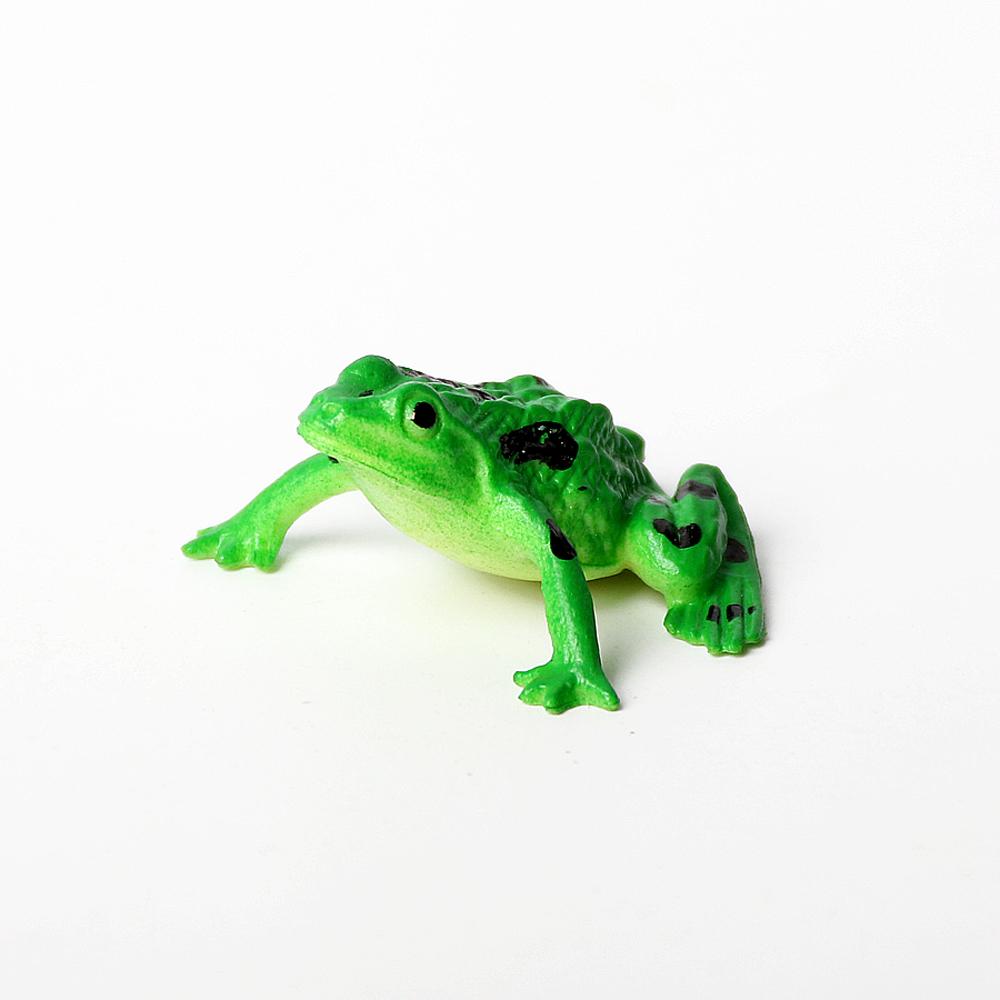Toys Character Figure Colorful Realistic Frog Action Figures Assorted Frog Frogs Model Toys