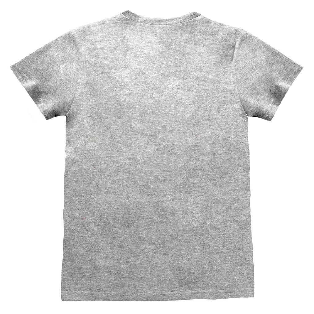 Nintendo Unisex Adult Legend Of Zelda Shield T-Shirt