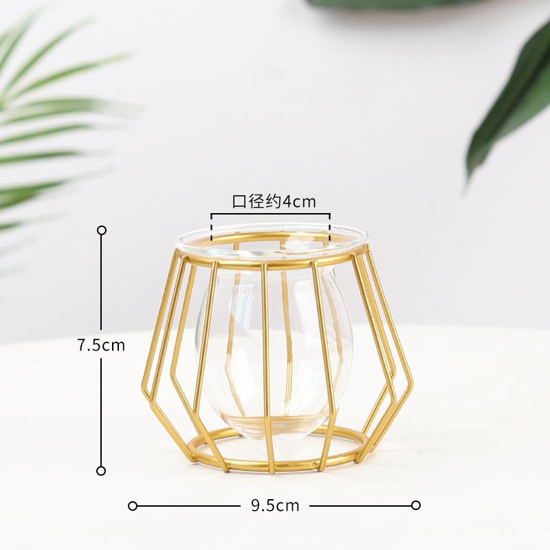Nordic Golden Iron Line Vase Hydroponic Plant Flower Vase Geometric Art Decor Metal Plant Holder Garden Modern Home Decoration