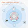 ZigBee 3.0 intelligent European standard socket 16A with metering voice control