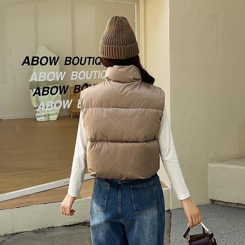 Женская осенне-зимняя однотонная утолщенная верхняя одежда с хлопковой подкладкой и воротником-стойкой, теплая куртка без рукавов, пальто, жилет