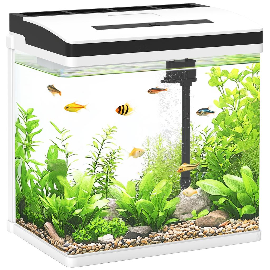13L Glass Aquarium Fish Tank with Filter, LED Lighting, for Betta, Guppy, Mini Parrot Fish, Shrimp, 29 x 20 x 30.5cm