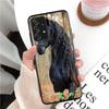Чехол для телефона с изображением лошади для Samsung Galaxy A13 A22 A12 A32 A71 A11 A21S A33 A52 A72 A51 A50 A70 A31 M31