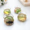 Новый Мини Микро Стеклянный Аквариум-Шар Аквариум Дом для Кукол Домашний Декор Игрушка Случайные Цвета Декор Аквариума Миниатюрный Аквариум Террариум