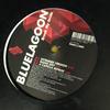 12inch Record BLUE LAGOON - Break My Stride DOIT0705 Do It Yourself 2005 US Dance & Electronica Used