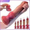 Big Knot Dog Dildo with Powerful Suction Cup Animal Giant Soft Penis Anal Plug For Women Sexy Toys Clitoris Stimulator Sex