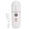 Portable Facial Moisturizing Sprayer - USB Charging Humidifier and Face Steamer
