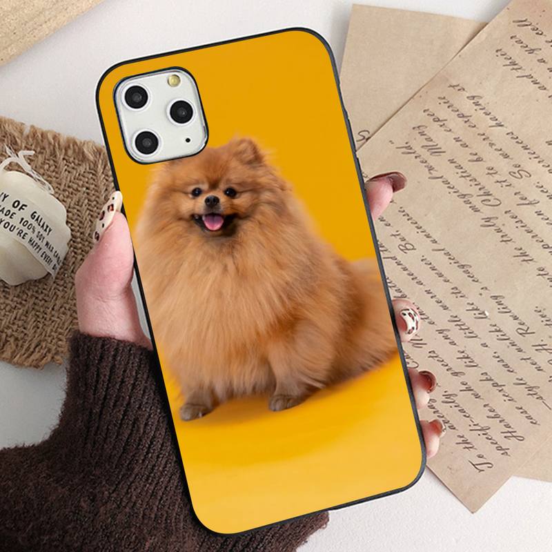 Чехол для телефона MaiYaCa Pomeranian dogs для iPhone 11 12 13 mini pro XS MAX 8 7 6 6S Plus X 5S SE 2020 XR