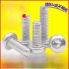 Stainless Steel Round Head Plum Screws M3/M4/M5/M6