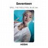Seventeen ВЫЛИВАЙ ЧУВСТВА ЧУВСТВУЙ СЕБЯ ПОНИЖЕННО Ver. Официальная фотокарта