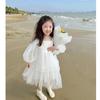 Girls' Temperament Princess Puffy Dress Party Pageant Dress Summer