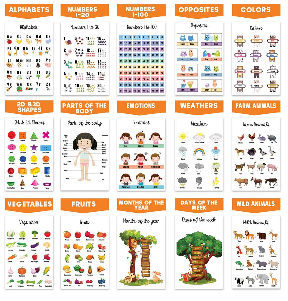 Traceease Образовательный плакат для начальной школы, упаковка из 25 ламинированных детских обучающих плакатов, отлично подходит для домашнего обучения в классе