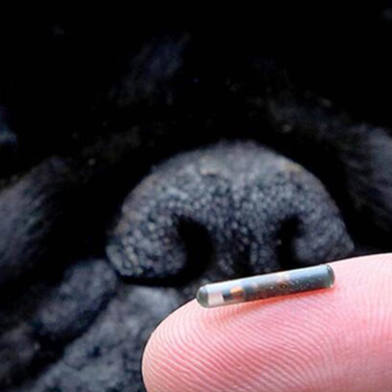 1,25 х 7 мм имплантированный микрочип-транспондер легкий шприц с чипом для кошек и собак, хомяков