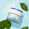 Доктор. Belmer Advanced Cica Recovery Cream 2.0 50мл
