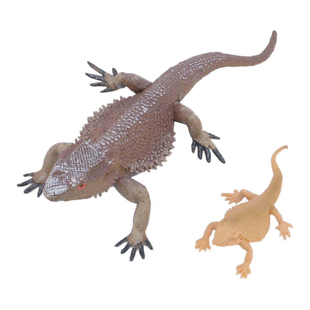 Lizard Life Cycle Figurine Toy Educational Interactive Lifelike Simulated Reptile Animal Figurine Se
