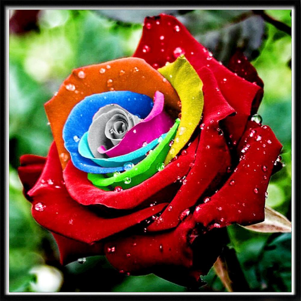 Diy 5Drose алмазная живопись полная алмазная вышивка настенная наклейка цветочная мозаика украшение дома картина подарок ручной работы