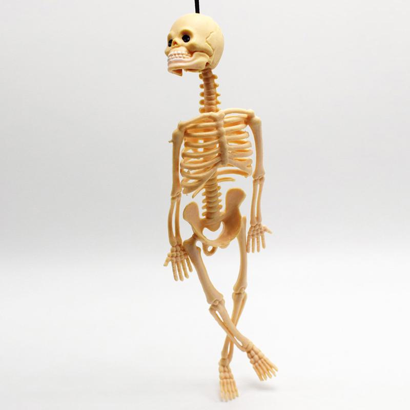 1 шт. страшная модель скелета игрушка на Хэллоуин брелок пластиковая пряжка брелоки многоцветный подарок вечеринка