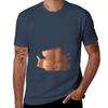 Six Pack Abs Shirt (Female) TShirt Plus Size Gym Sports TShirt