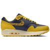 Новые женские Nike Air Max 1 CO.JP Michigan Head To Head FJ5479-410