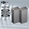 DJI TB30 Smart Flight Battery (2-pack) (CN version)