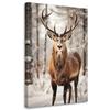 Canvas Print, Reindeer In the Forest