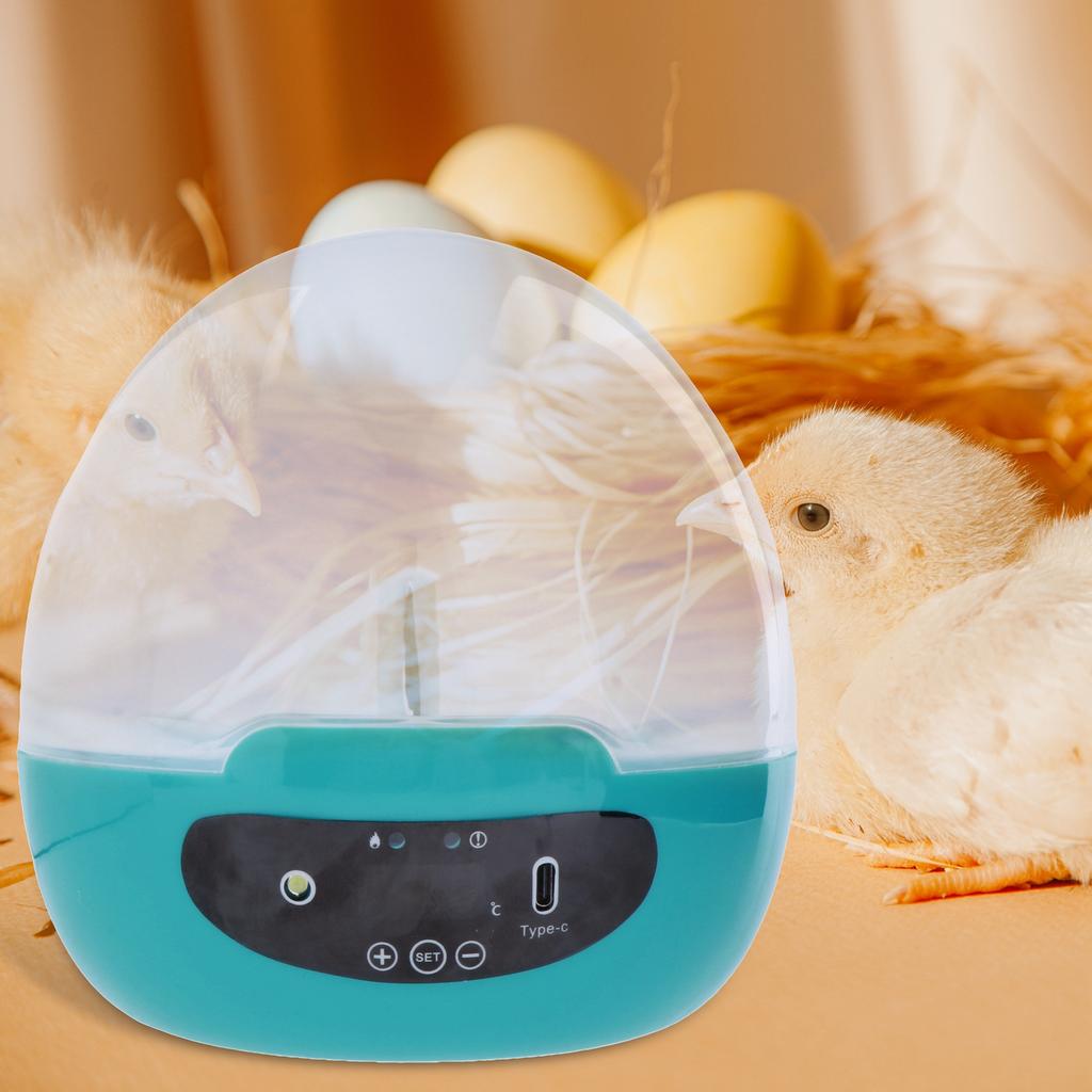 Household Mini Egg Incubator Temperature Control with Light Clear Digital Chicken Hatcher for Duck Bird Chicken Parrot Eggs