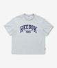 Reebok Свободная футболка Rtc - Серая