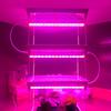 AC220V 110V LED Grow Light LED Plant Light Bar Full Spectrum Phyto Lamp Tube T5 29 см для комнатных цветов, гидропонная система -Q