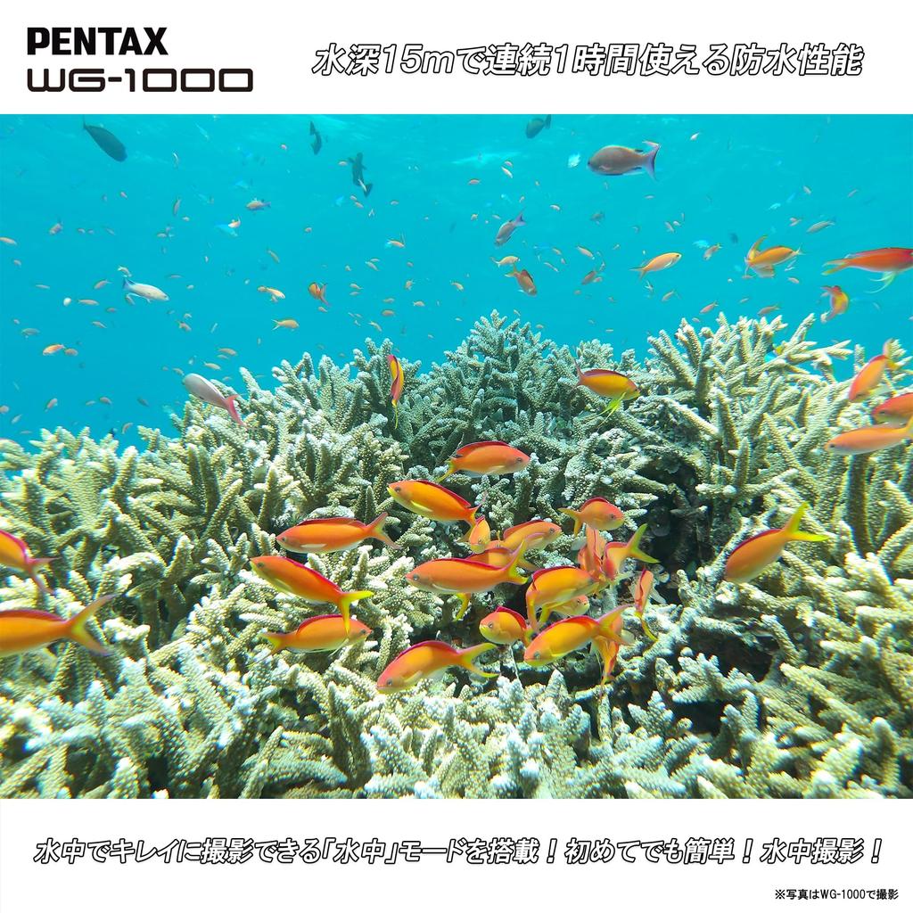 Pentax Gray Fully Waterproof Digital Camera 15m Waterproof Hour 2m Shockproof Dustproof 2153 WG-1000 (1 Continuous)