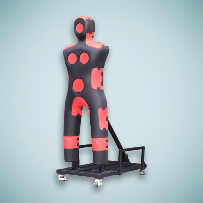 Intelligent Combat Training System