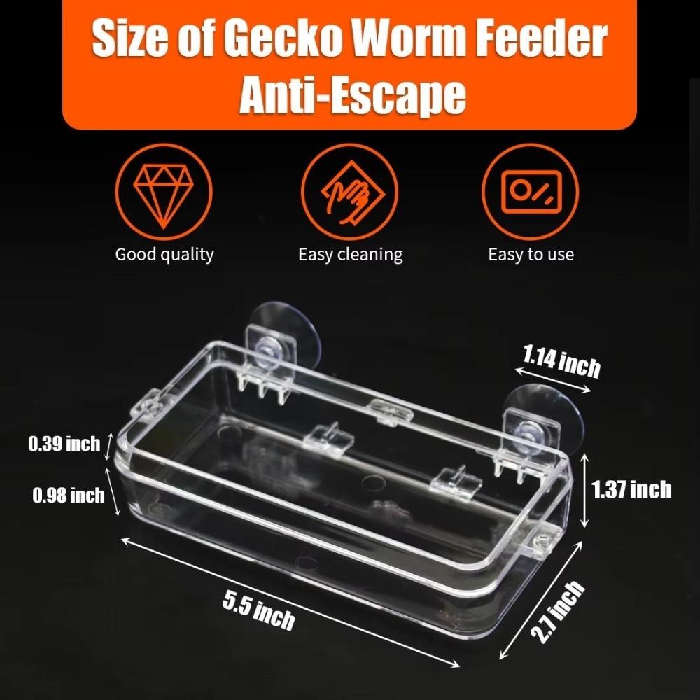 Anti-Escape Reptile Food Dish Reptile Food Water Feeding For Chameleon Iguana Lizard Snakes