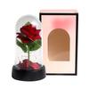 LED light luminous glass plastic cover single simulated rose ornament Valentine's Day gift birthday
