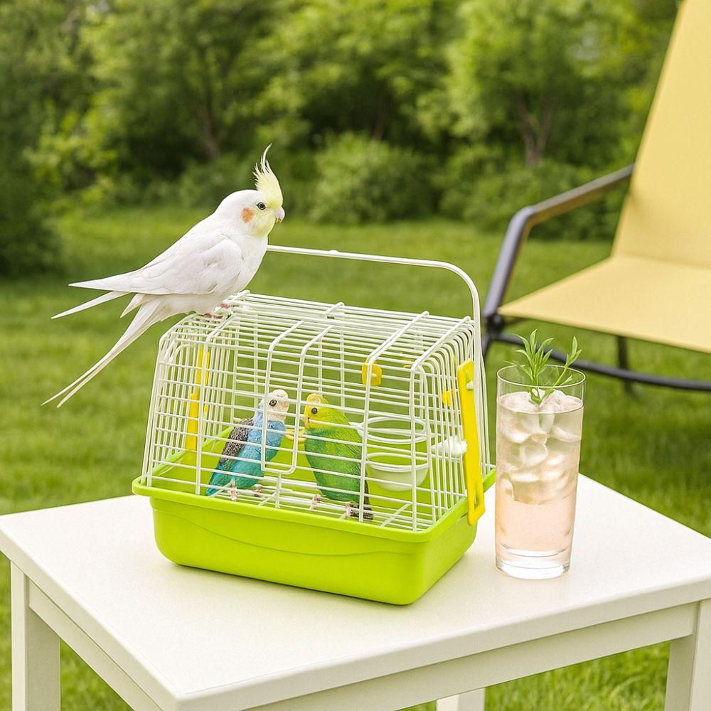 Устойчивая к укусам переноска-клетка для птиц, прочная клетка для путешествий с попугаем для улицы, лагерь